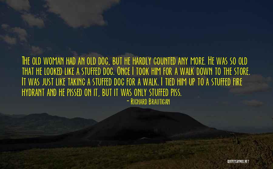 Solbiati Fabrics Quotes By Richard Brautigan Solbiati Fabrics Quotes By Richard Brautigan
