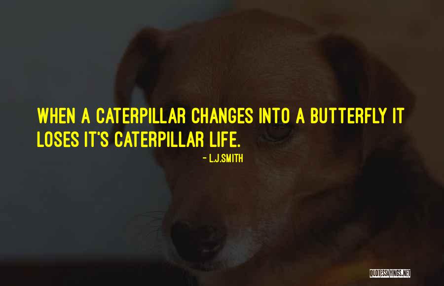 Soldatenkoeken Quotes By L.J.Smith Soldatenkoeken Quotes By L.J.Smith