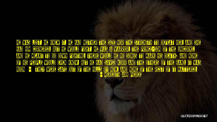 Soldier Domination Quotes By Meredith Ann Pierce Soldier Domination Quotes By Meredith Ann Pierce