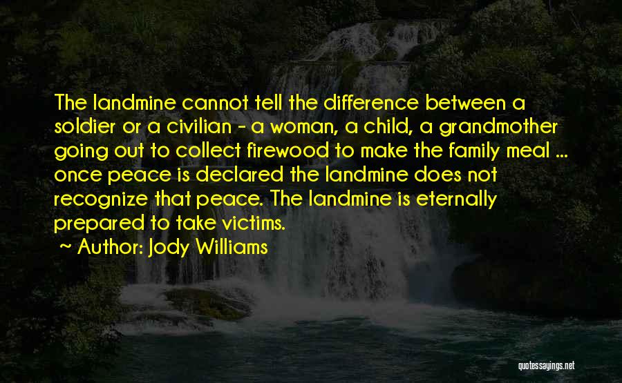 Soldier Vs Civilian Quotes By Jody Williams