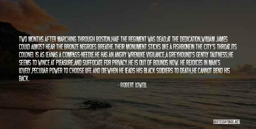 Soldiers Death Quotes By Robert Lowell