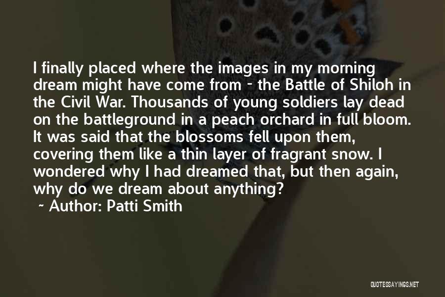 Soldiers In The Civil War Quotes By Patti Smith