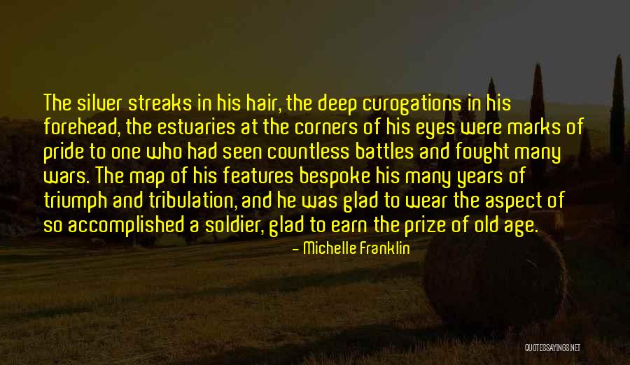 Soldiers In War Quotes By Michelle Franklin Soldiers In War Quotes By Michelle Franklin