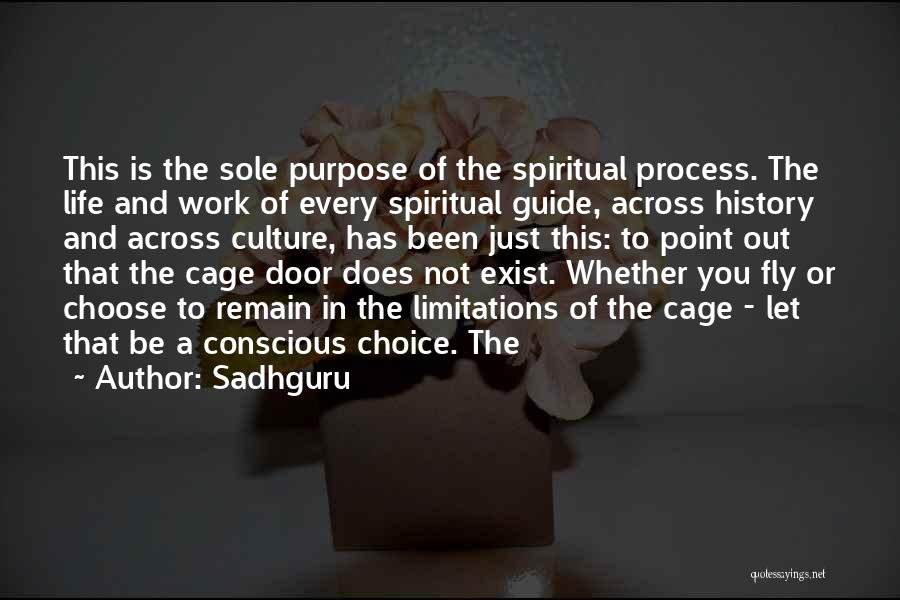 Sole Purpose Of Life Quotes By Sadhguru