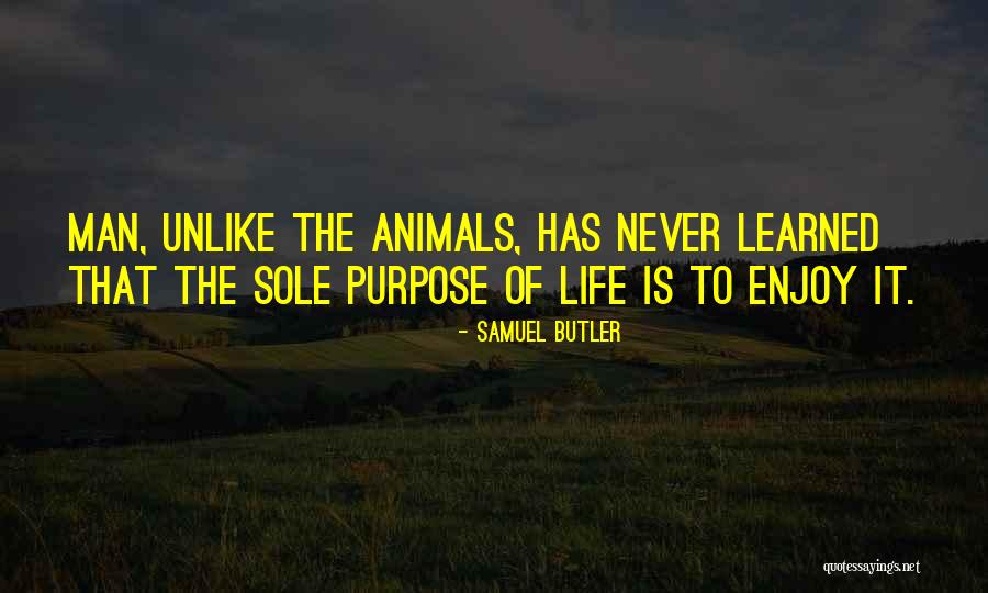 Sole Purpose Of Life Quotes By Samuel Butler Sole Purpose Of Life Quotes By Samuel Butler