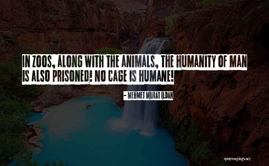Solecki Vs Hubbard Quotes By Mehmet Murat Ildan Solecki Vs Hubbard Quotes By Mehmet Murat Ildan