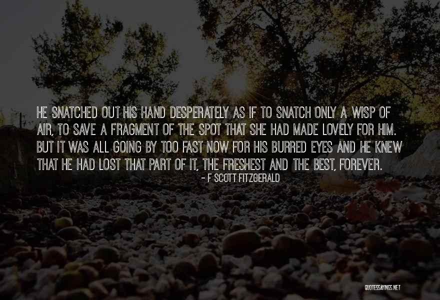 Soledades Luis Quotes By F Scott Fitzgerald Soledades Luis Quotes By F Scott Fitzgerald