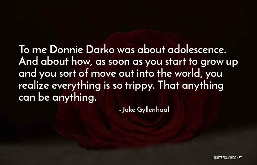 Solemnidad De La Quotes By Jake Gyllenhaal Solemnidad De La Quotes By Jake Gyllenhaal