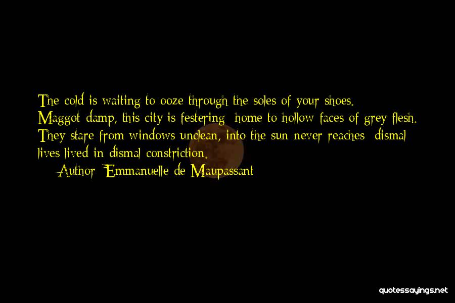 Soles Of Shoes Quotes By Emmanuelle De Maupassant