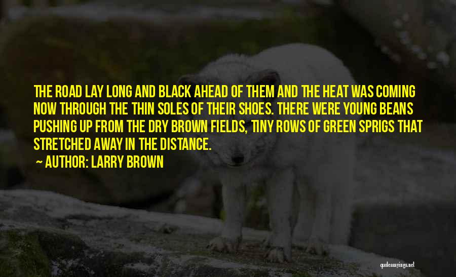 Soles Of Shoes Quotes By Larry Brown