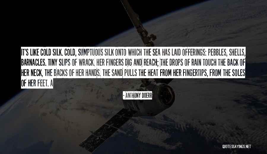 Soles Quotes By Anthony Doerr