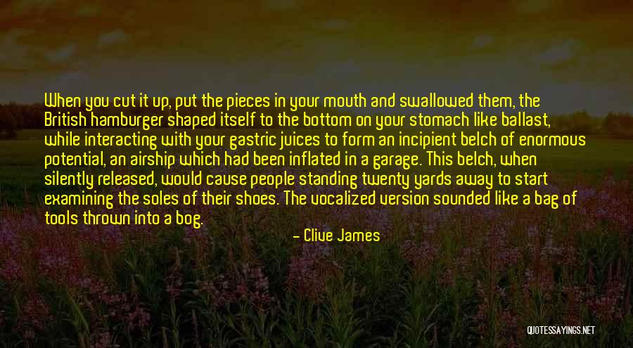 Soles Quotes By Clive James Soles Quotes By Clive James