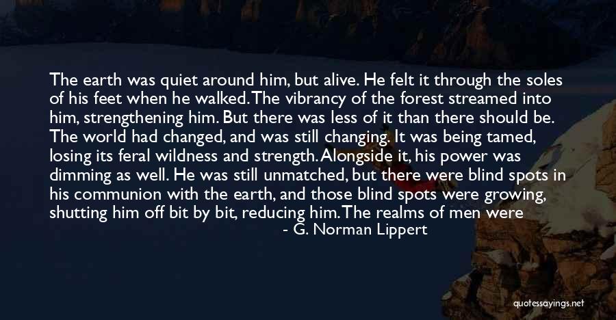 Soles Quotes By G. Norman Lippert