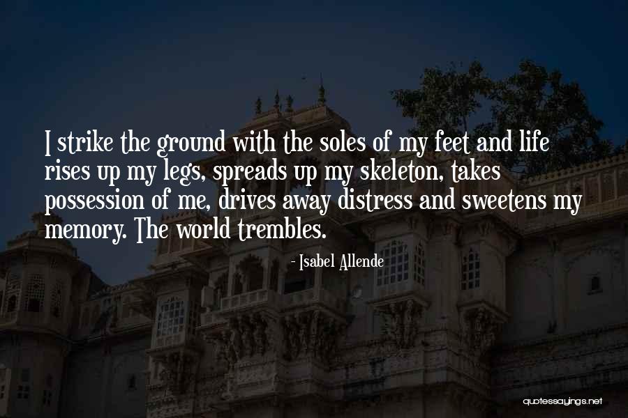 Soles Quotes By Isabel Allende