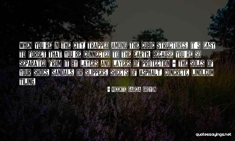Soles Quotes By Vicente Garcia Groyon Soles Quotes By Vicente Garcia Groyon