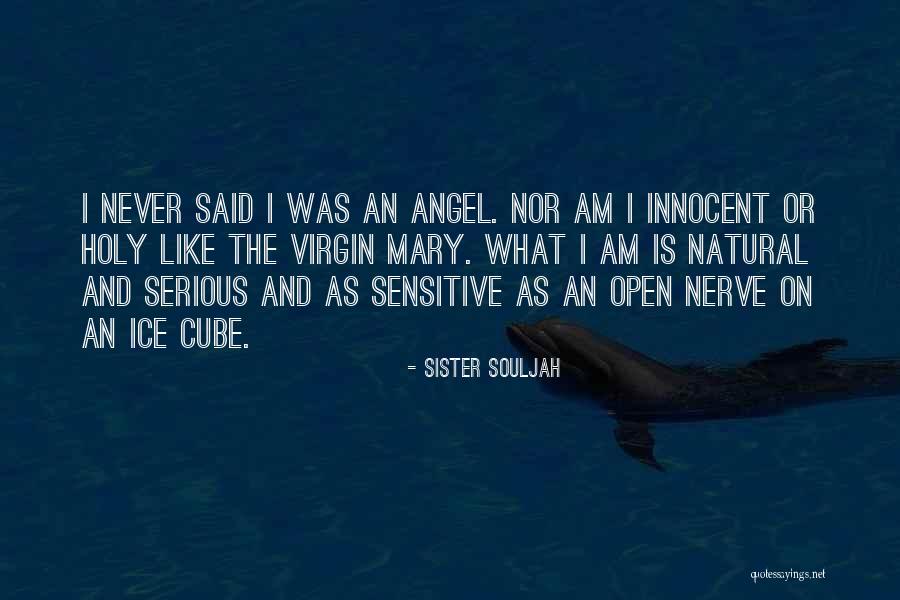Soletocart Quotes By Sister Souljah Soletocart Quotes By Sister Souljah