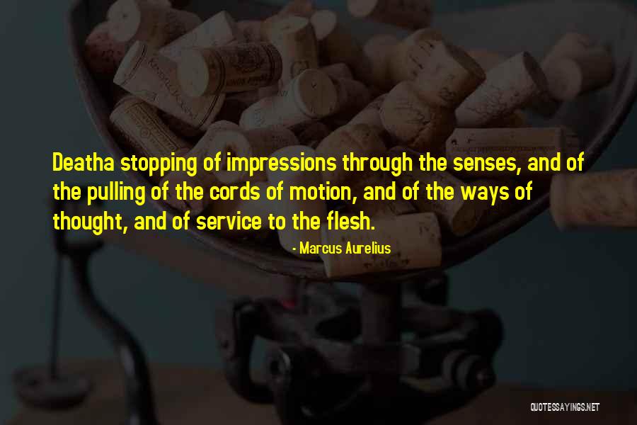 Solfanelli Fiorillo Quotes By Marcus Aurelius Solfanelli Fiorillo Quotes By Marcus Aurelius