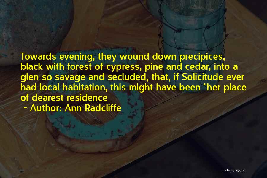 Solicitude Quotes By Ann Radcliffe