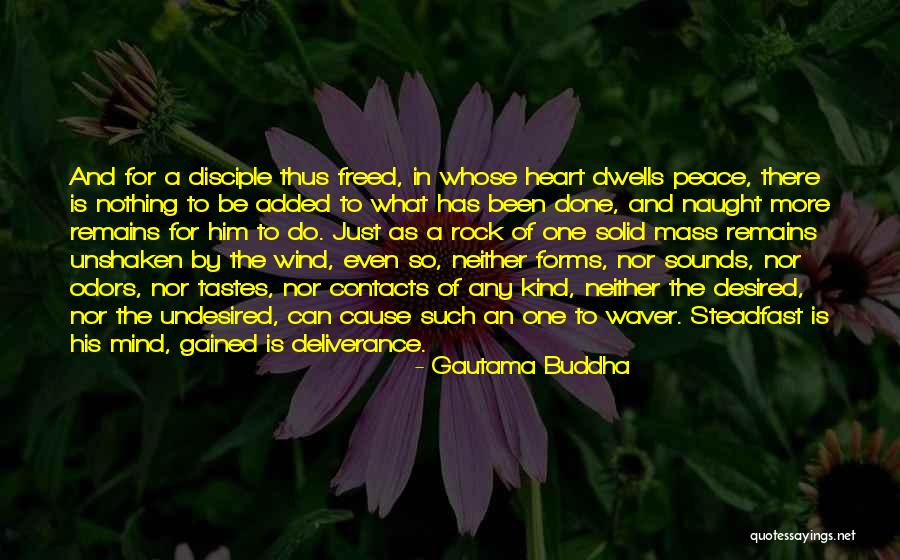 Solid As A Rock Quotes By Gautama Buddha Solid As A Rock Quotes By Gautama Buddha