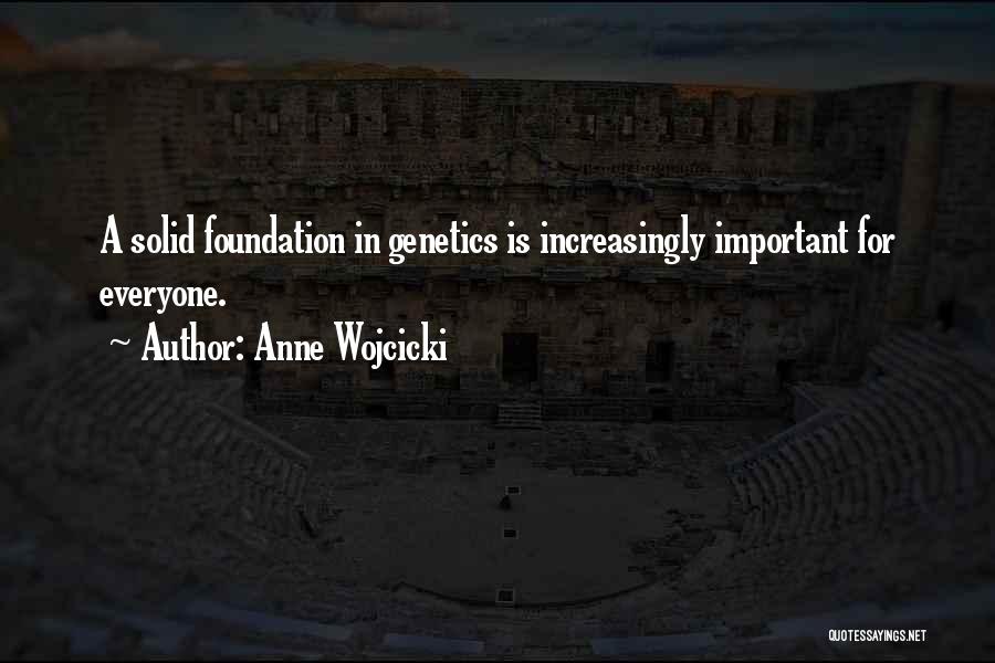 Solid Foundation Quotes By Anne Wojcicki