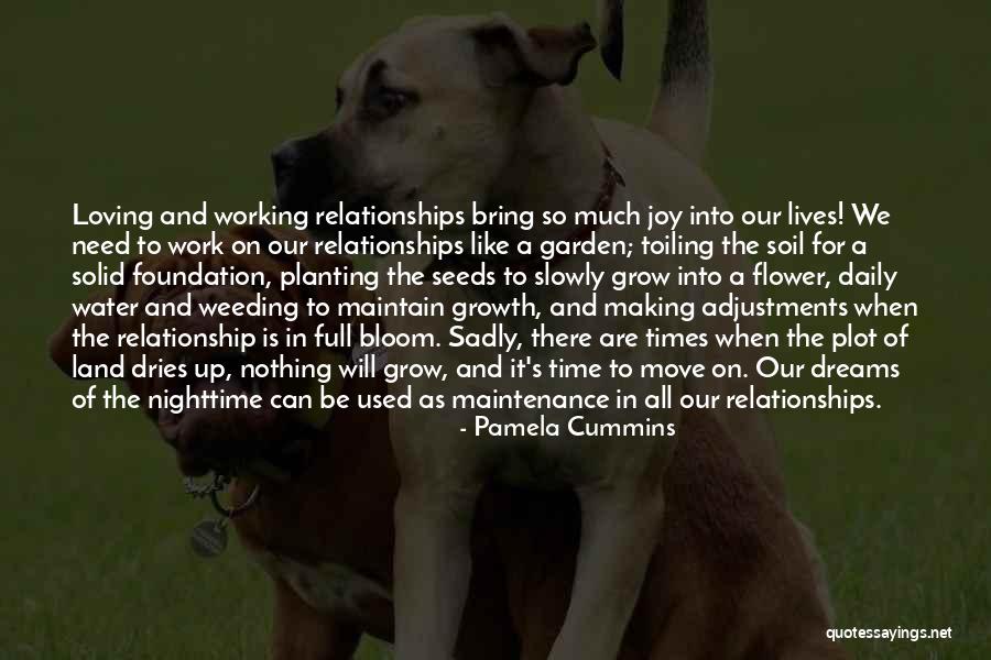 Solid Relationship Quotes By Pamela Cummins Solid Relationship Quotes By Pamela Cummins