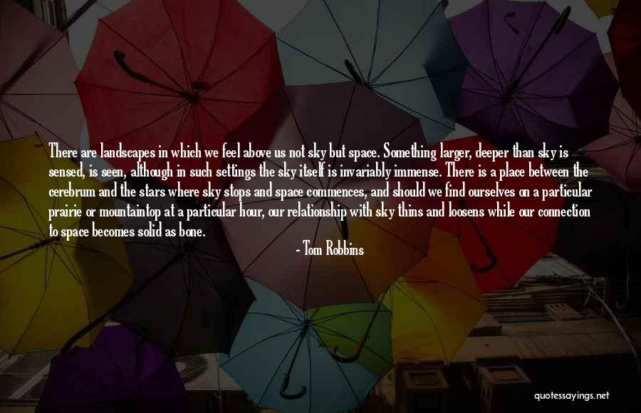 Solid Relationship Quotes By Tom Robbins Solid Relationship Quotes By Tom Robbins