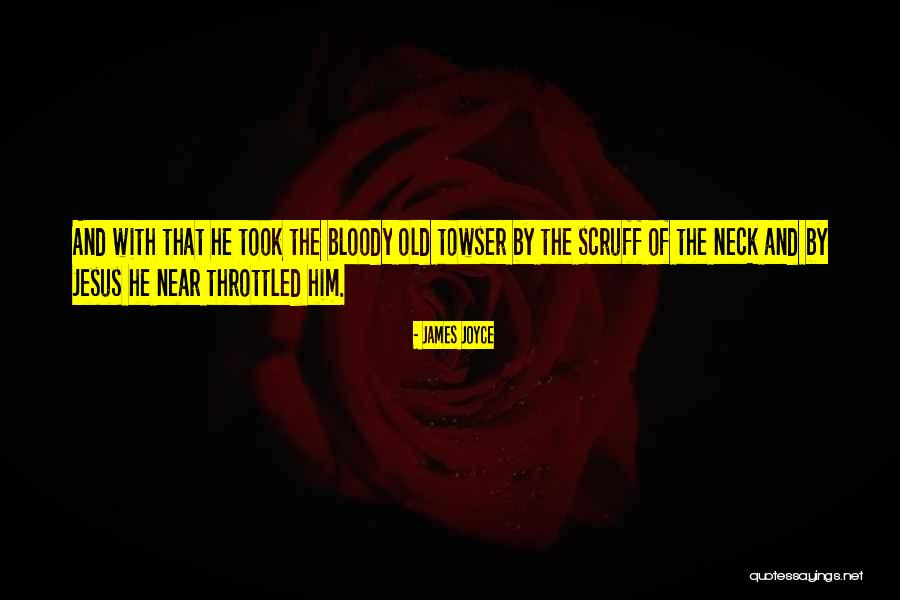 Solidifying In A Sentence Quotes By James Joyce Solidifying In A Sentence Quotes By James Joyce