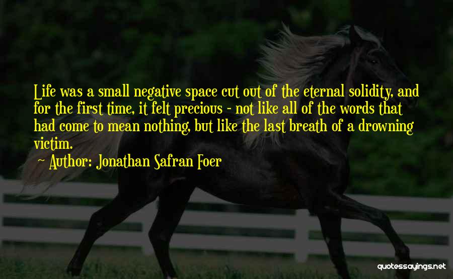 Solidity Quotes By Jonathan Safran Foer