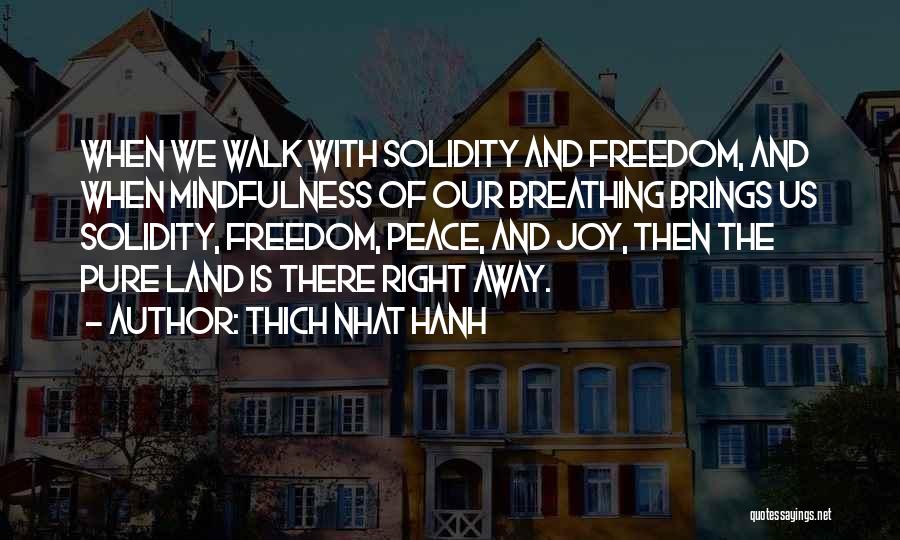 Solidity Quotes By Thich Nhat Hanh