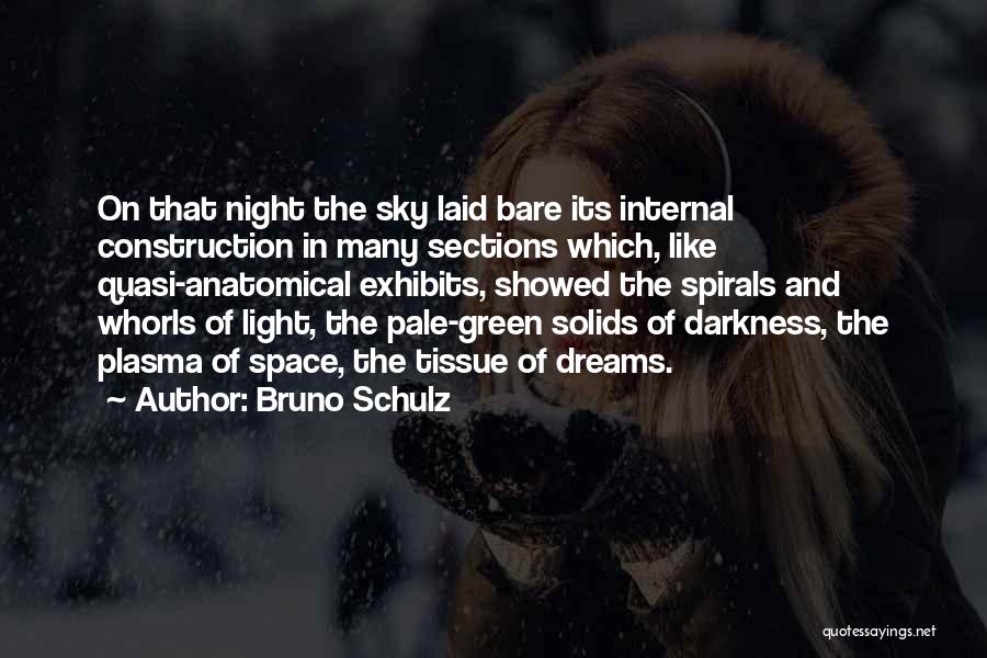 Solids Quotes By Bruno Schulz