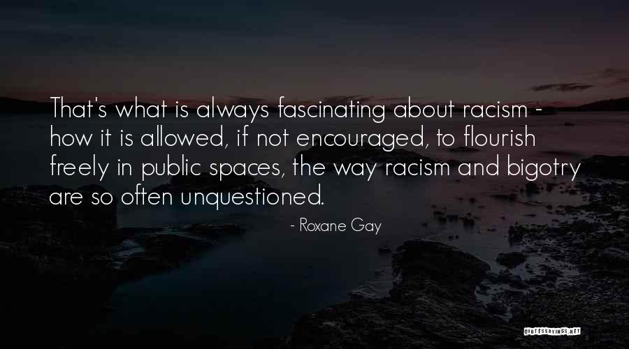 Solimene Dinnerware Quotes By Roxane Gay Solimene Dinnerware Quotes By Roxane Gay