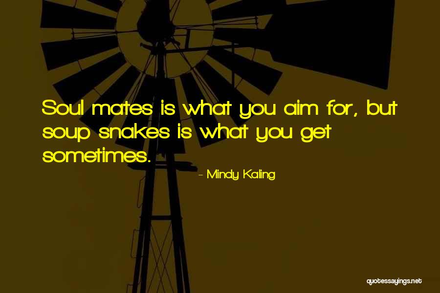 Solitaire Mystery Quotes By Mindy Kaling