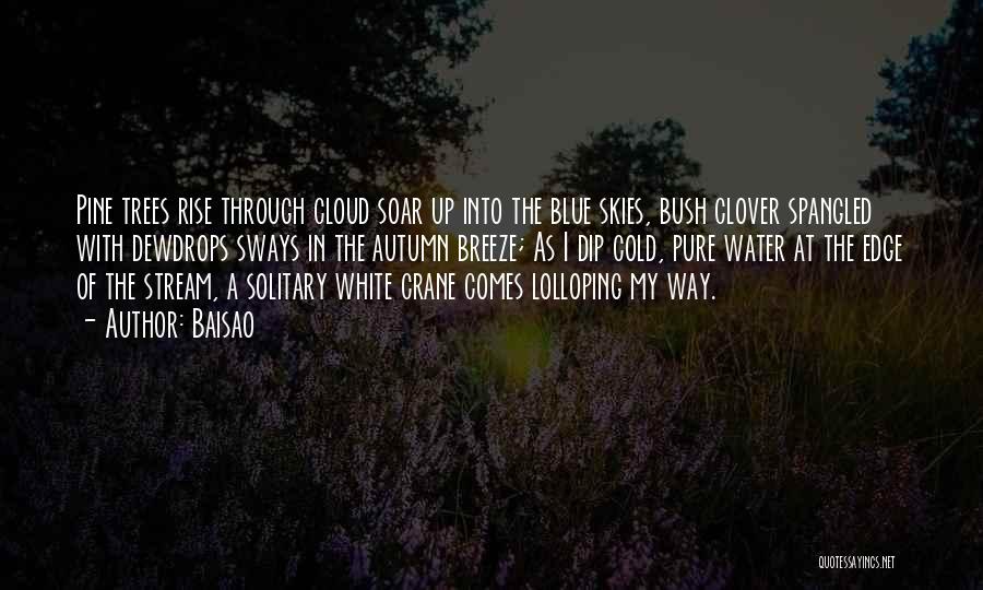 Solitary Blue Quotes By Baisao