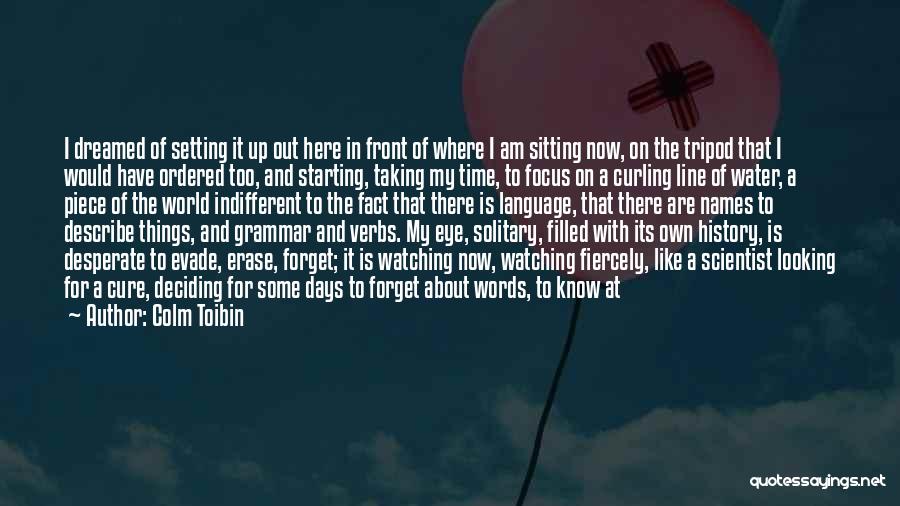 Solitary Blue Quotes By Colm Toibin