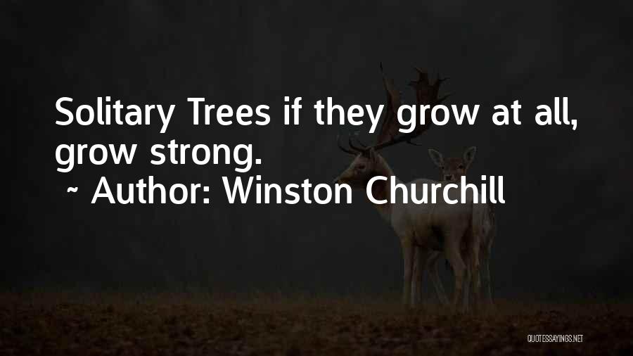 Solitary Trees Quotes By Winston Churchill