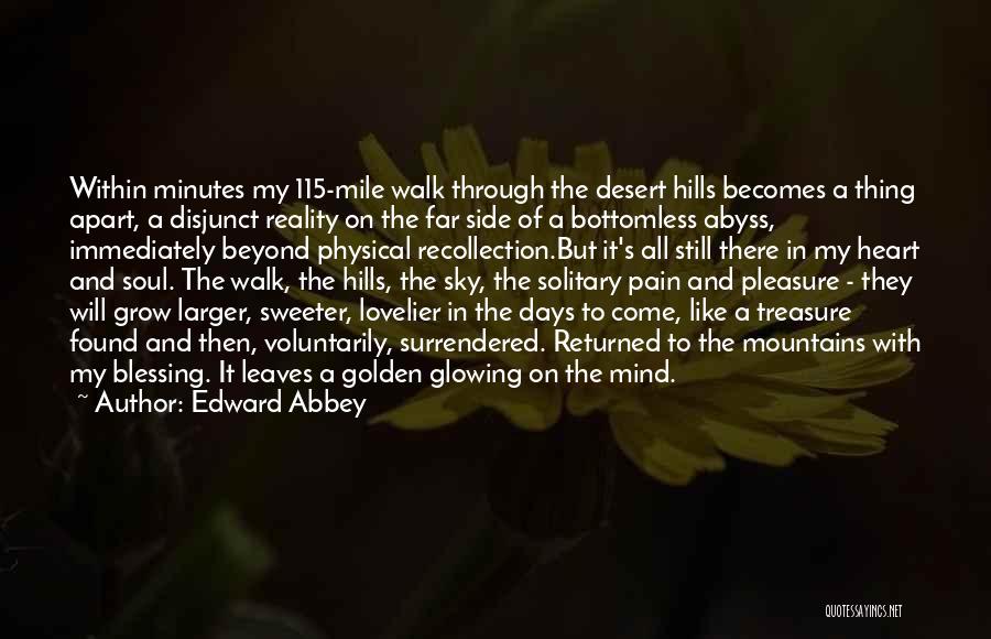 Solitary Walk Quotes By Edward Abbey