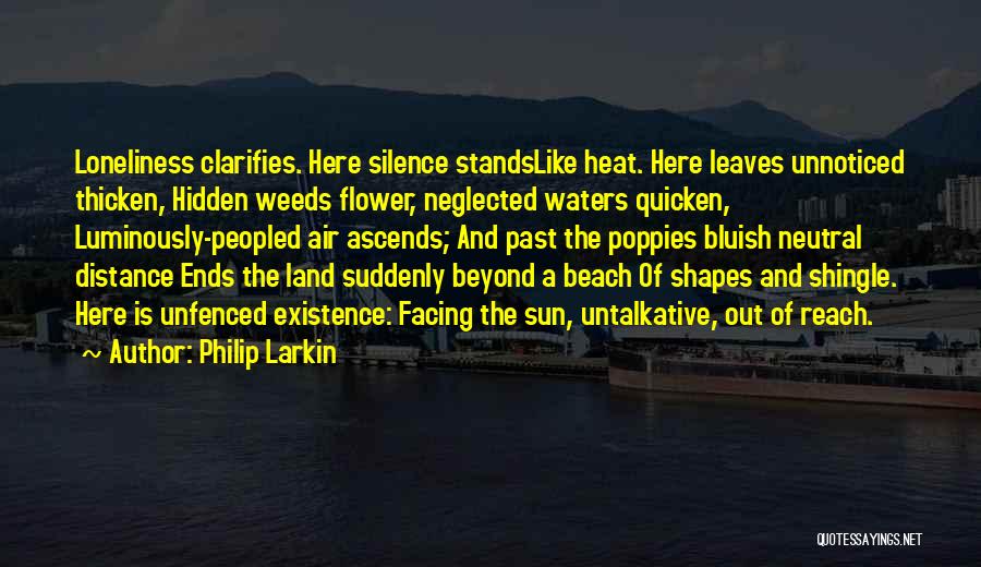 Solitude And Loneliness Quotes By Philip Larkin