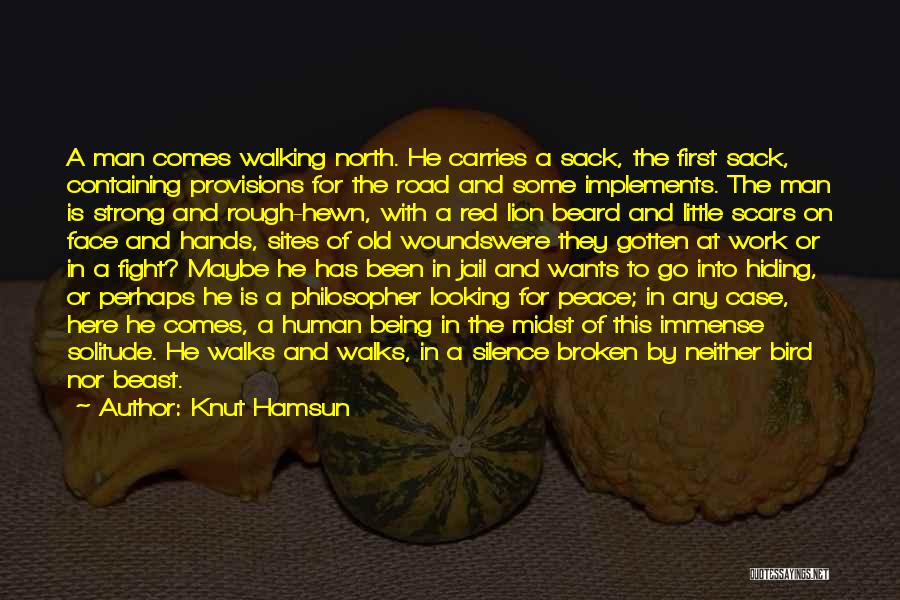 Solitude And Peace Quotes By Knut Hamsun