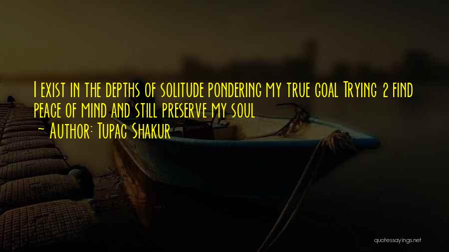 Solitude And Peace Quotes By Tupac Shakur