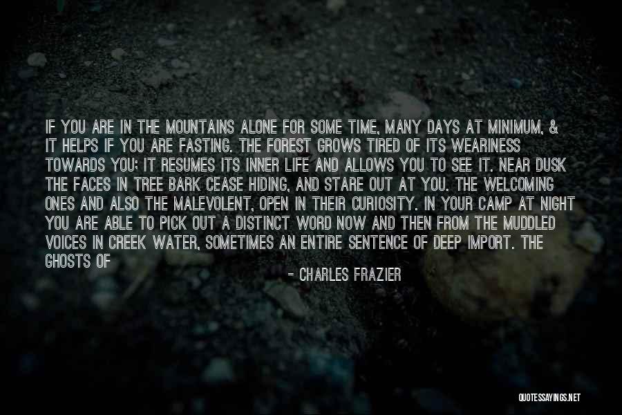 Solitude And Reflection Quotes By Charles Frazier