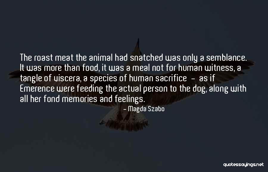 Solitude And Tranquility Quotes By Magda Szabo Solitude And Tranquility Quotes By Magda Szabo