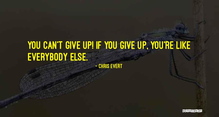 Sollartek Quotes By Chris Evert Sollartek Quotes By Chris Evert