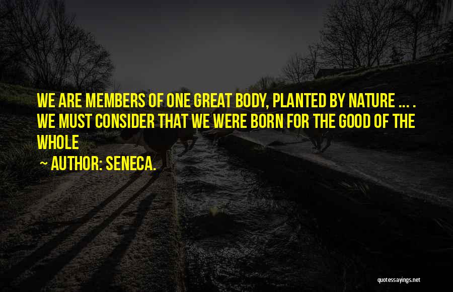 Solleva L Quotes By Seneca.