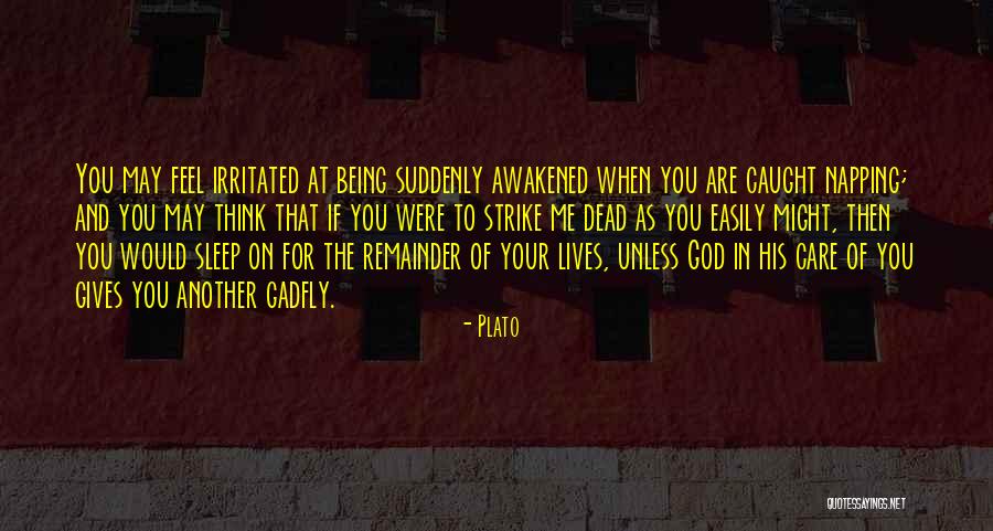 Solo Travellers Quotes By Plato Solo Travellers Quotes By Plato