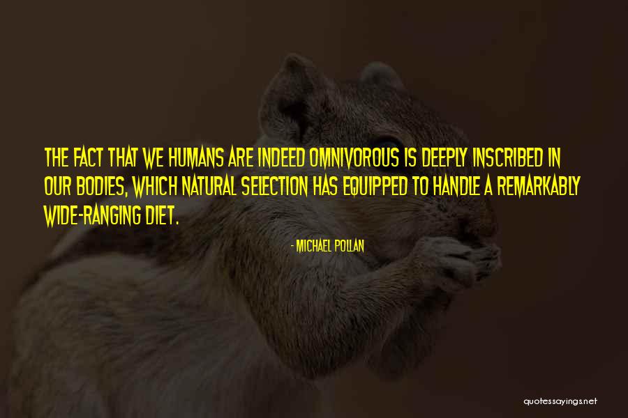 Solo Warrior Quotes By Michael Pollan Solo Warrior Quotes By Michael Pollan