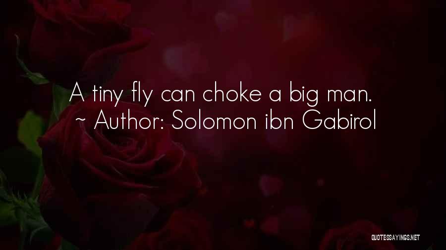 Solomon Ibn Gabirol Quotes 2157143