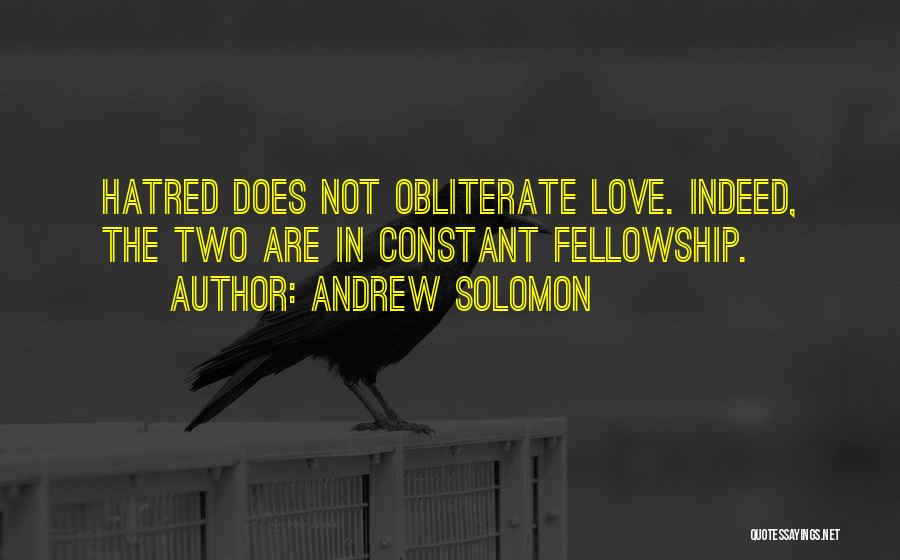 Solomon Love Quotes By Andrew Solomon