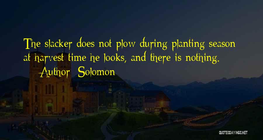 Solomon Quotes 279330