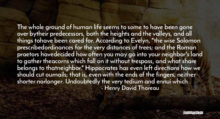 Solomon Wise Quotes By Henry David Thoreau