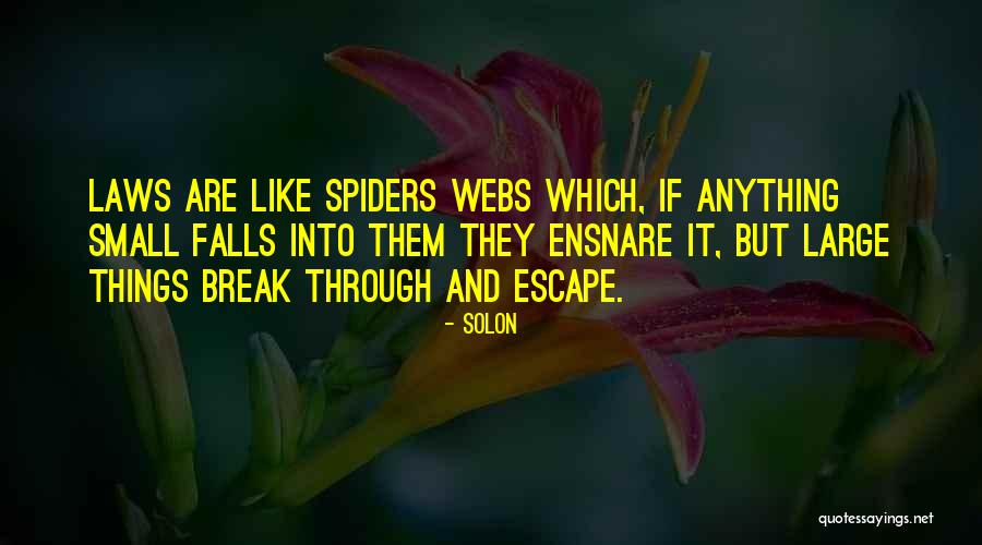 Solon Quotes 1863341